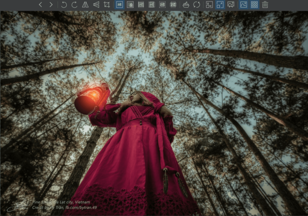 9 Programmi per organizzare foto e immagini nel PC 80