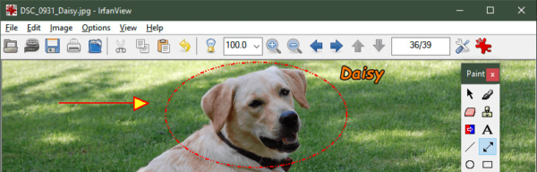 9 Programmi per organizzare foto e immagini nel PC 82