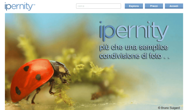 23 Siti per condividere le tue foto online 150