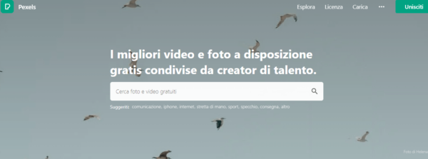 9 Siti per trovare immagini gratis ad uso commerciale 76