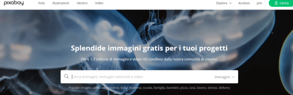 9 Siti per trovare immagini gratis ad uso commerciale 82