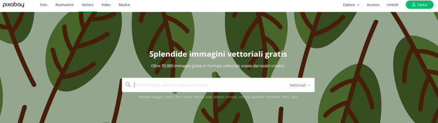 Cosa sono le immagini vettoriali e 8 siti per scaricarle gratis 76